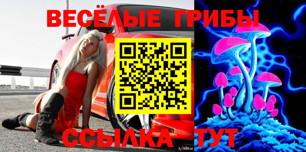 Галлюциногенные грибы MAGIC MUSHROOMS Каменск-Шахтинский