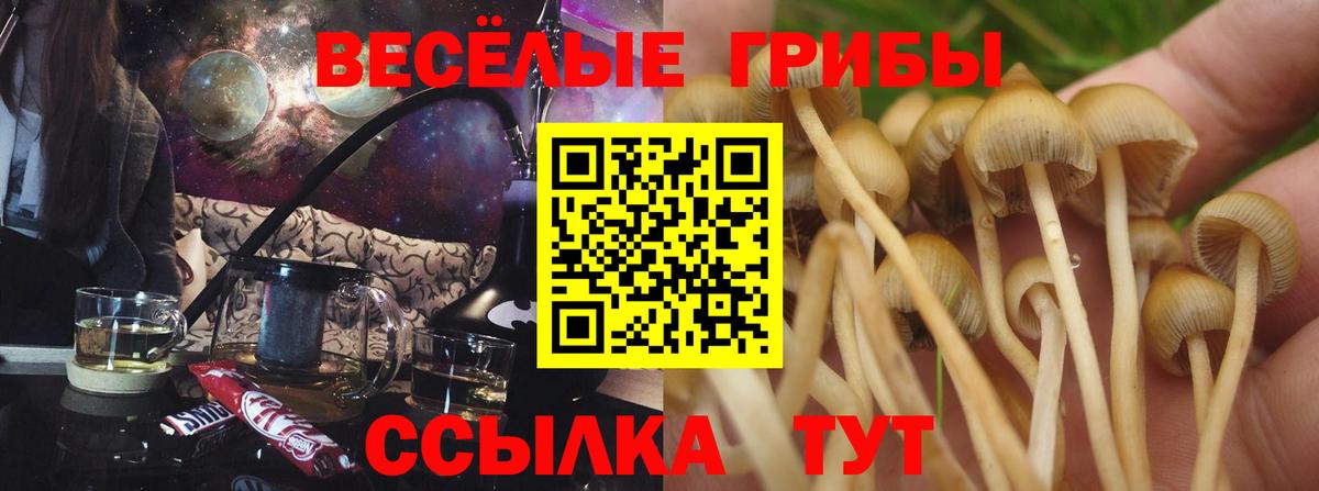 Галлюциногенные грибы мицелий  Вход с VPN  Псилоцибиновые грибы ЛСД  Каменск-Шахтинский 